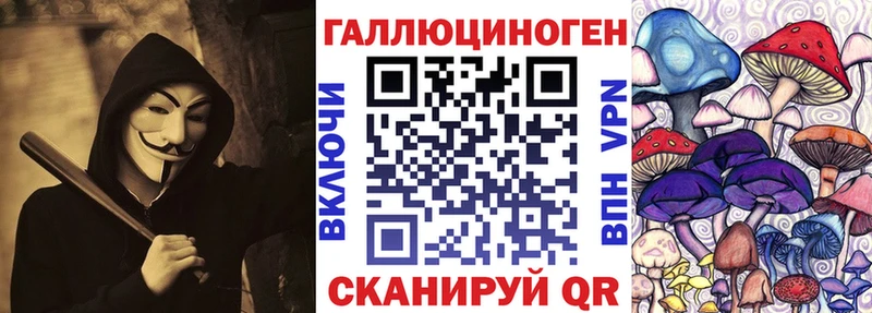 где купить наркоту  Юрга  Галлюциногенные грибы Psilocybine cubensis 