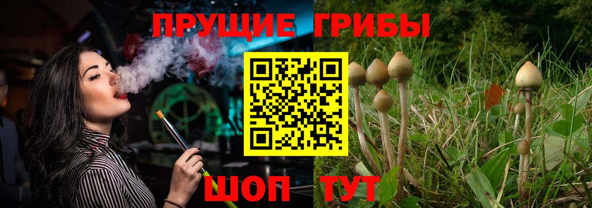Юрга  Галлюциногенные грибы прущие грибы  Вход с VPN 